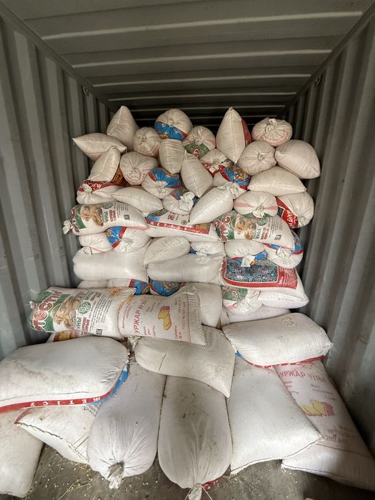 Кукуруза в зерне