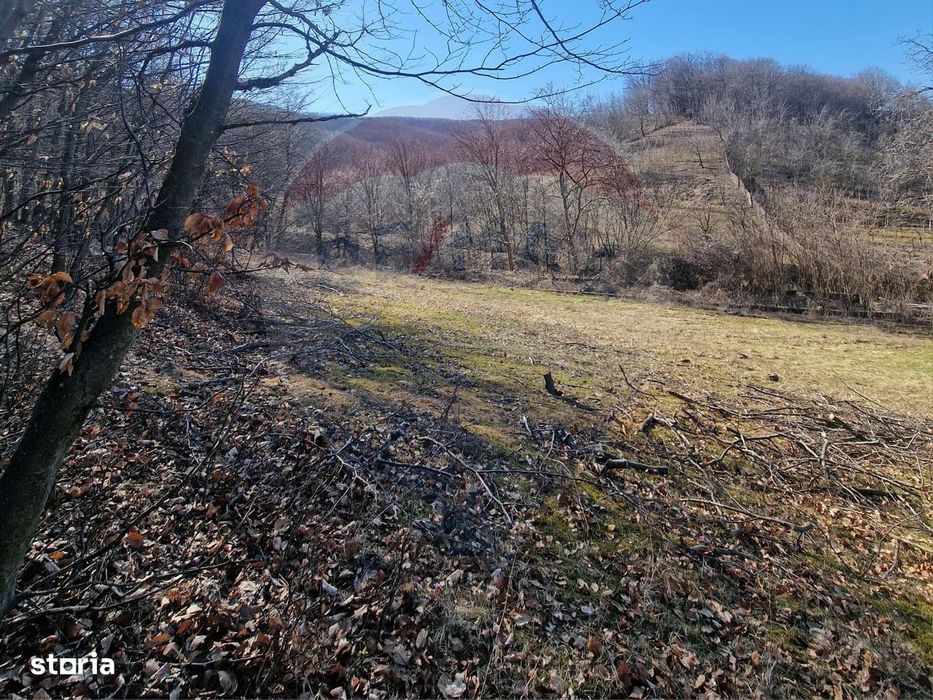 Teren de Vânzare în Pâncești (Sascut)