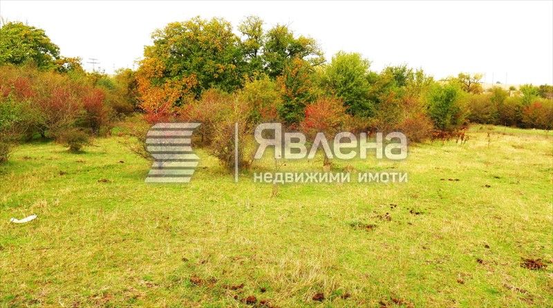 Продажба на земеделска земя в с.Иваняне