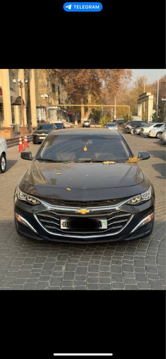 Malibu 2 primer 2022