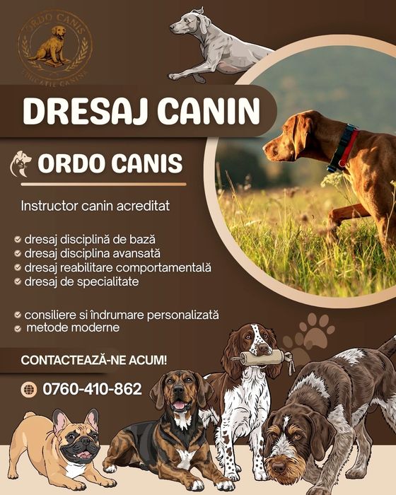 Dresaj canin, reabilitare comportamentală, disciplina, vână
