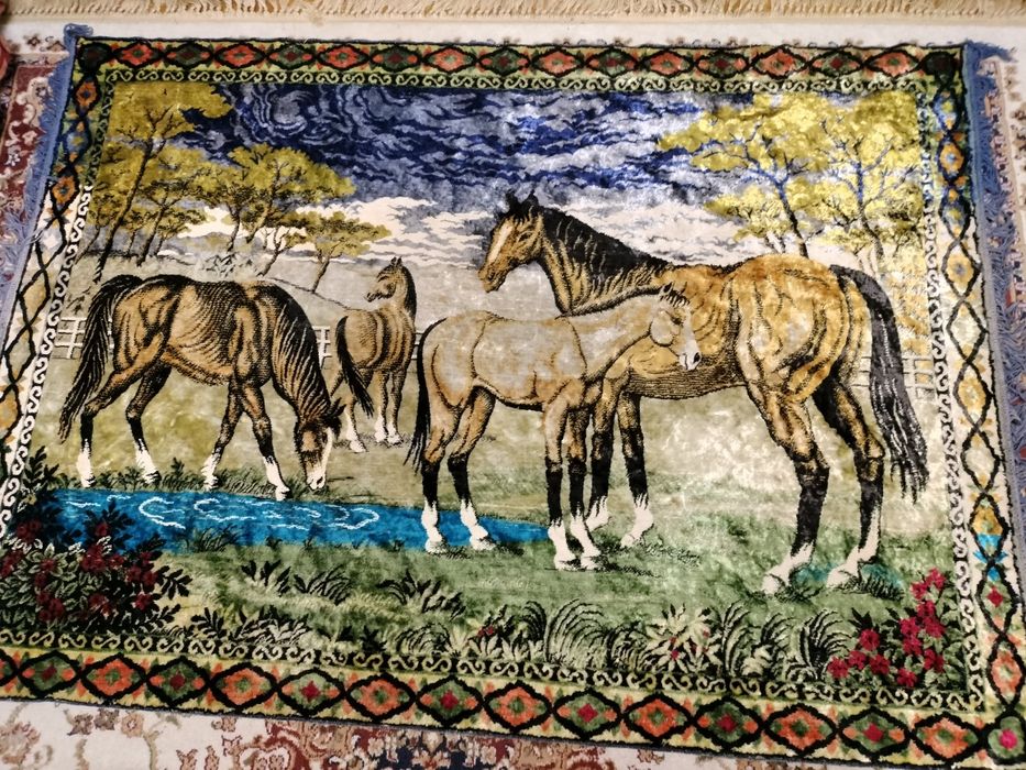 Vând carpeta perete