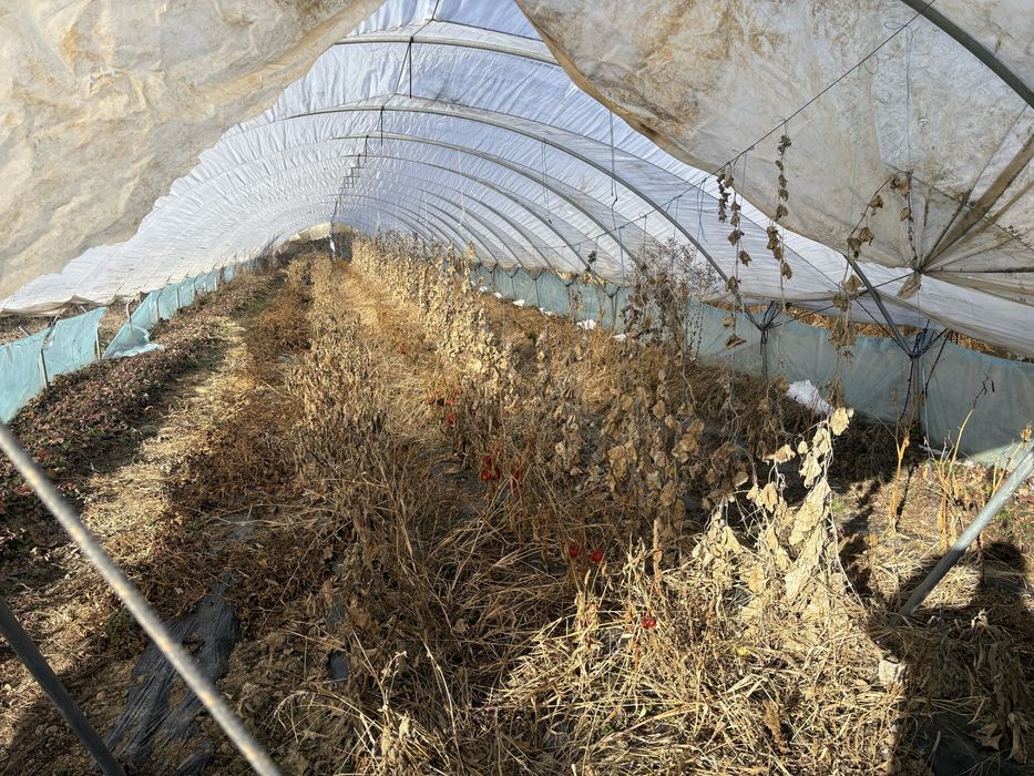 Vand solarii gradina