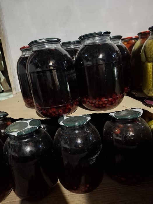 Продам  солонину