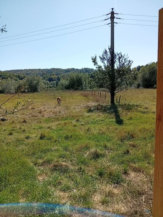 Vand casa + teren 5500mp Cacica, Langa Suceava