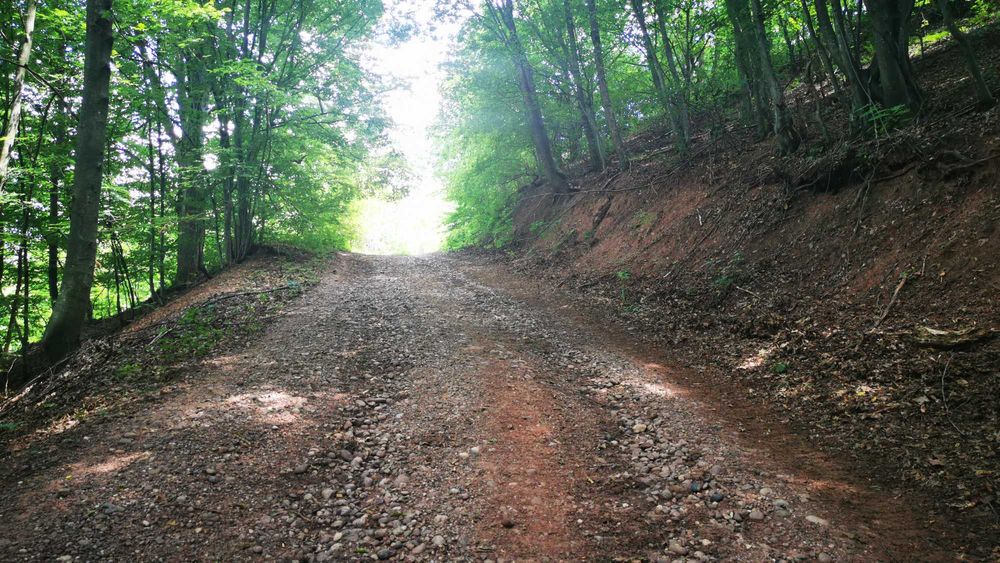 Proprietate de vânzare în sat Barbura, județul Hunedoara – 42.500 mp