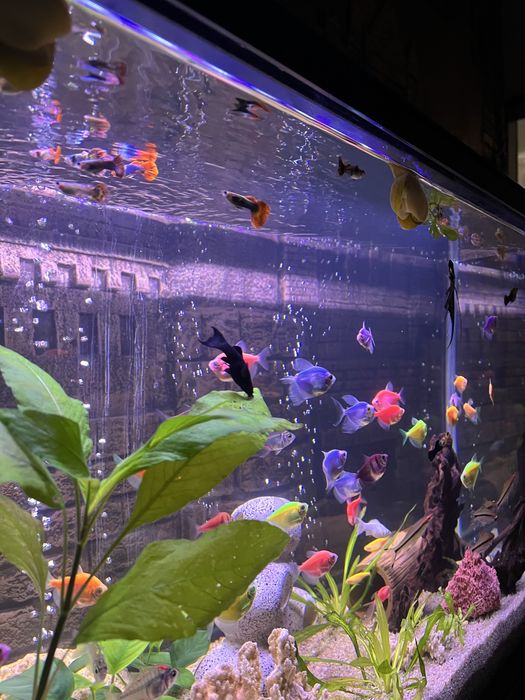 Продам аквариум на 130 литров под ключ