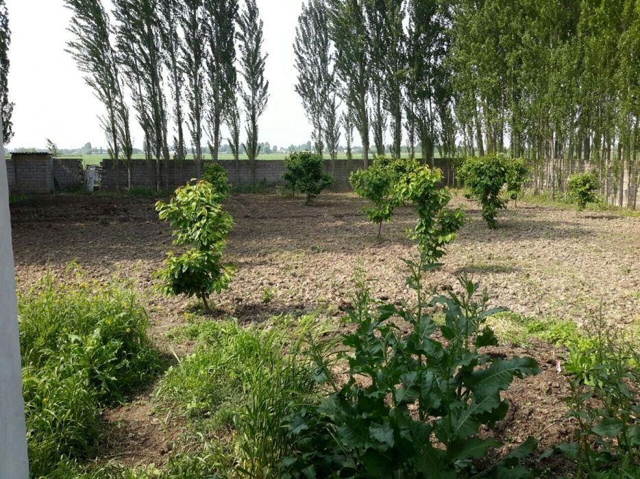 Участок , дом , новый Узбекистан и  новый Ташкент