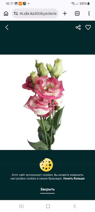 Рассада Эустомы / цветы / декор / сад