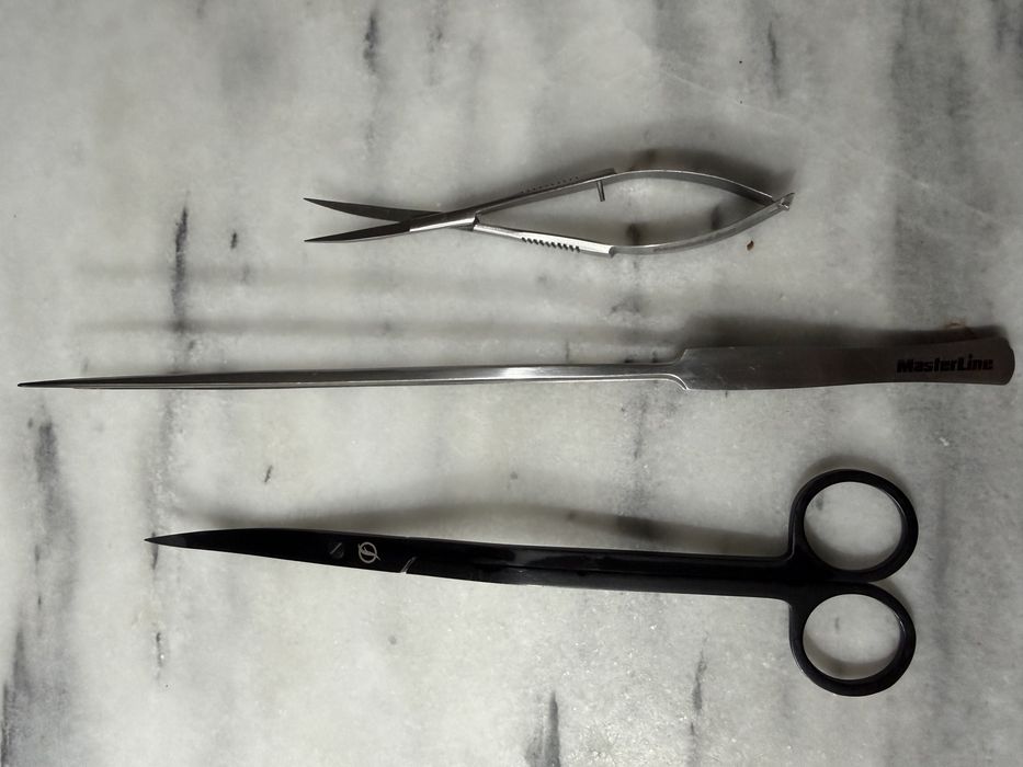 Vand foarfece si penseta acvaristica Masterline