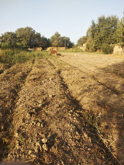 10sutix yer sotiladi