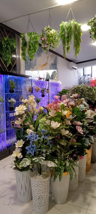 Суний дарахтлар олами суний гуллар.