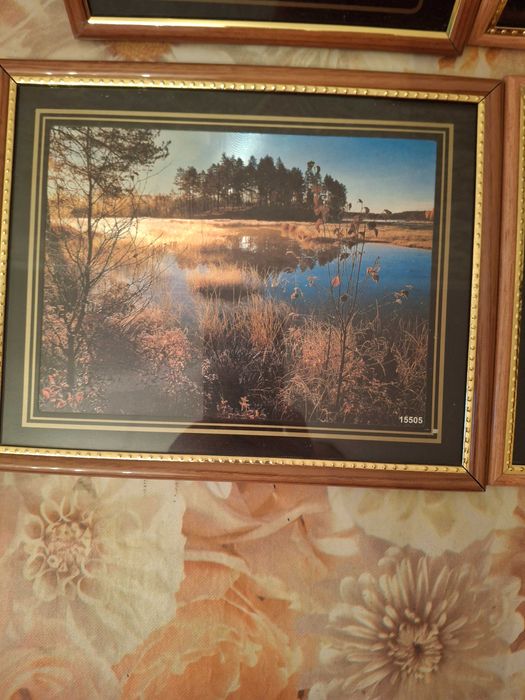 Картины в рамке новые