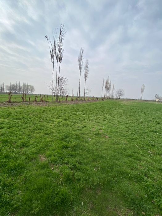 Uchaska yahshi holatda