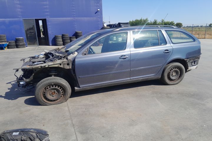 SET AMORTIZOARE SPATE Skoda Octavia a 2-a generatie (facelift)