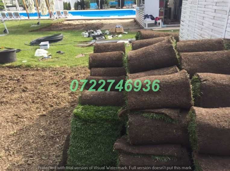 Gazon Natural Verde Intens pentru Amenajări Exterioare