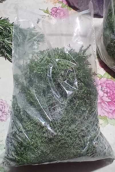 Răsaduri mentaolandeza cimbrisor salvie busuioc