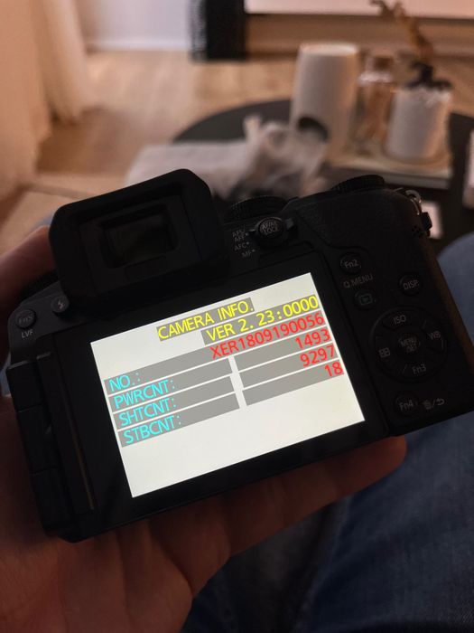 Aparat foto Panasonic Lumix DMC-G7M