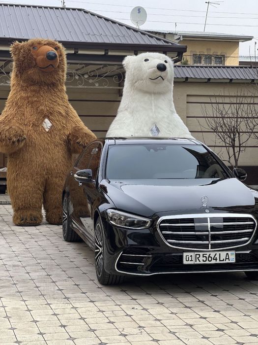 Arendaga teddy animator va foto video xizmatlari