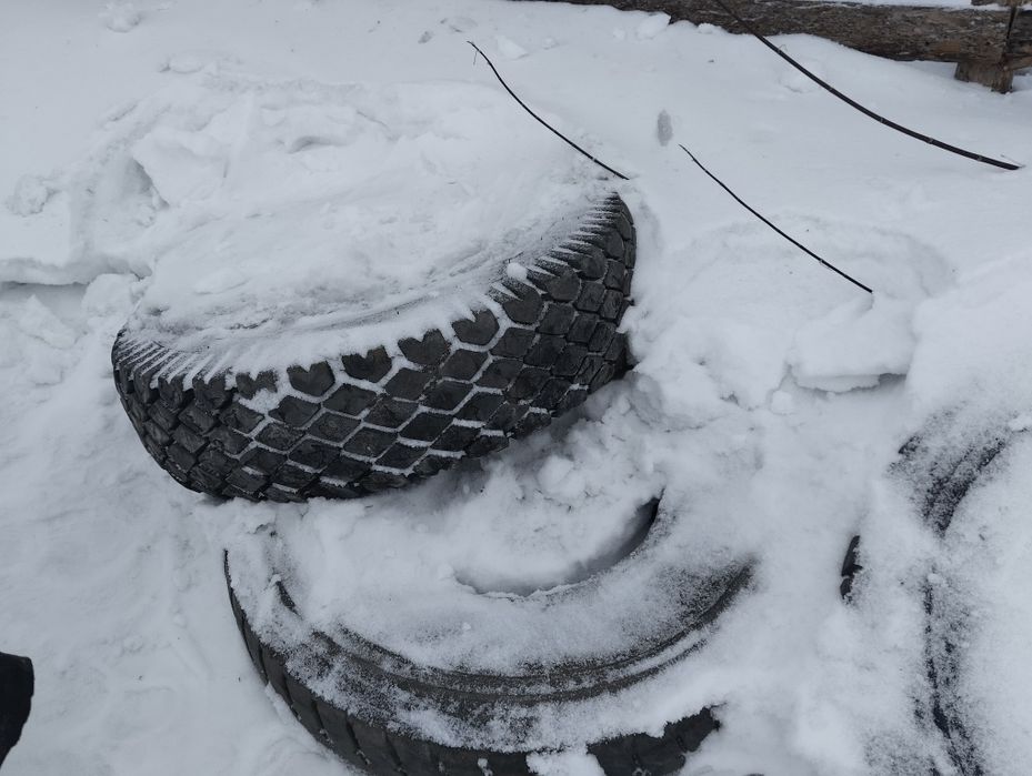 Продам шины размер 20 / 11. б/у .