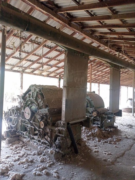 Tayyor biznes paxtasex