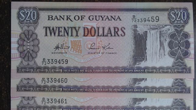 BancnotÄƒ 100 Dolari Jamaicani Adroa Ant