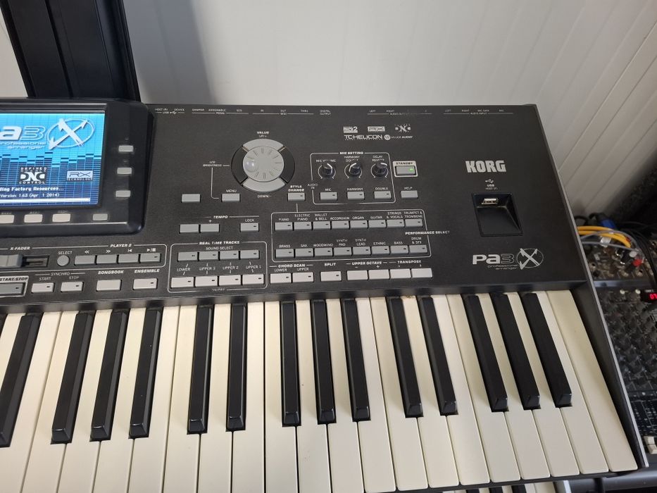 Korg pa 3x 256 RAM