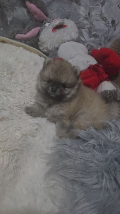 Предлагаю крутого мальчика