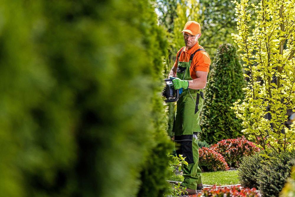 Озеленение, газон и автополив