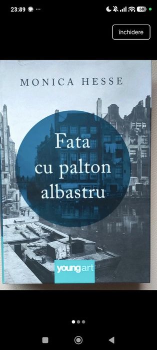 Cărți adolescenți și young adult