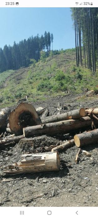 *DEFRISARI/Cosit-Demolari- Zugravit-Tuns Gazon