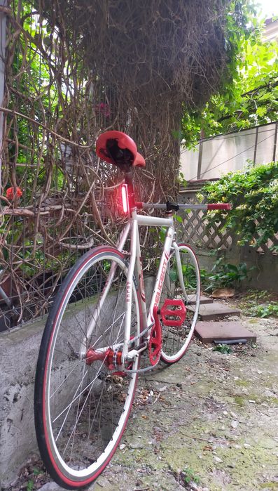 Peugeot Single speed Project