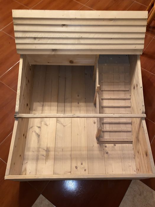 Cuscă broasca testoasa