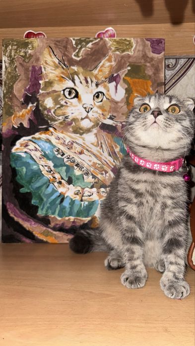 Вислоухая  кошка