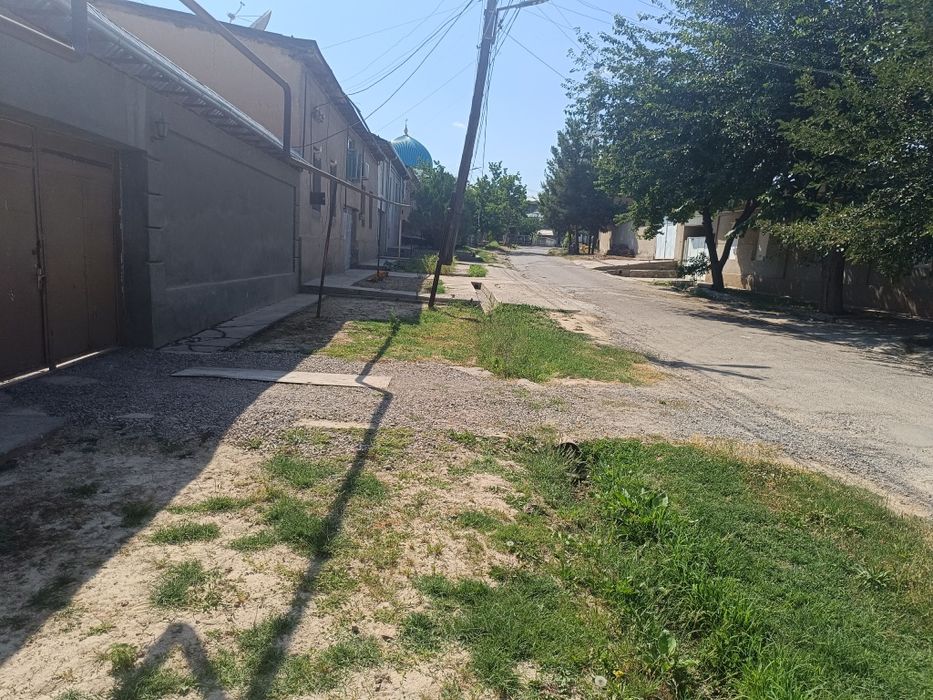 Nazarbek Tarnov 8 sotik 1 sotigi 17000$ kelishamiz tepasida