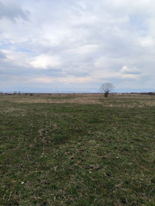 Teren Bucureasa-Danesti 10.000mp