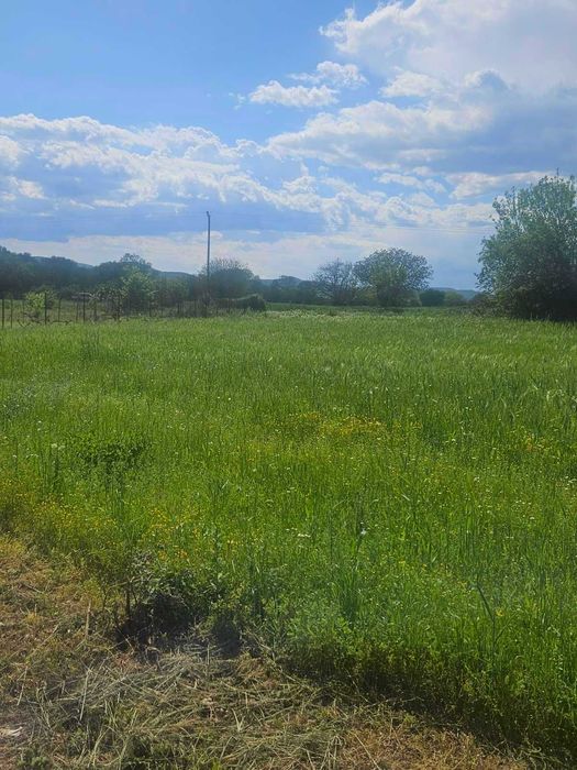 Парцел 1600 кв.м.