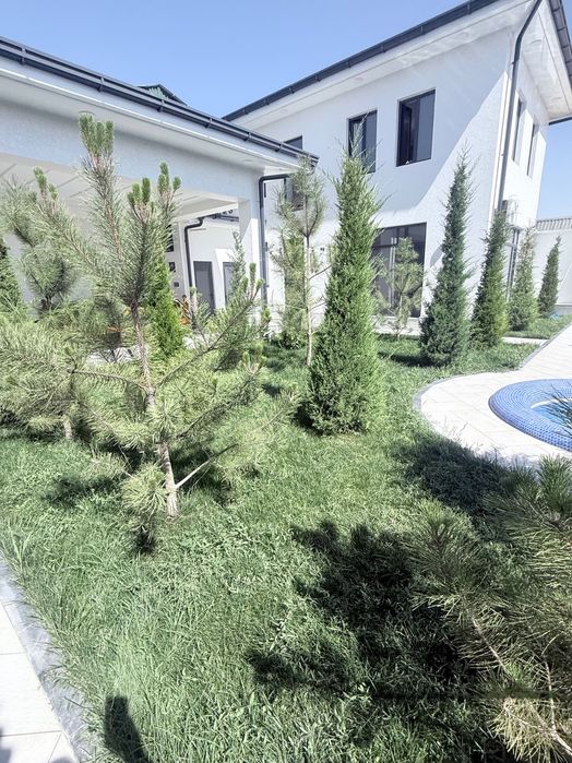 Сдаётся дача не доезжая до Миранкула