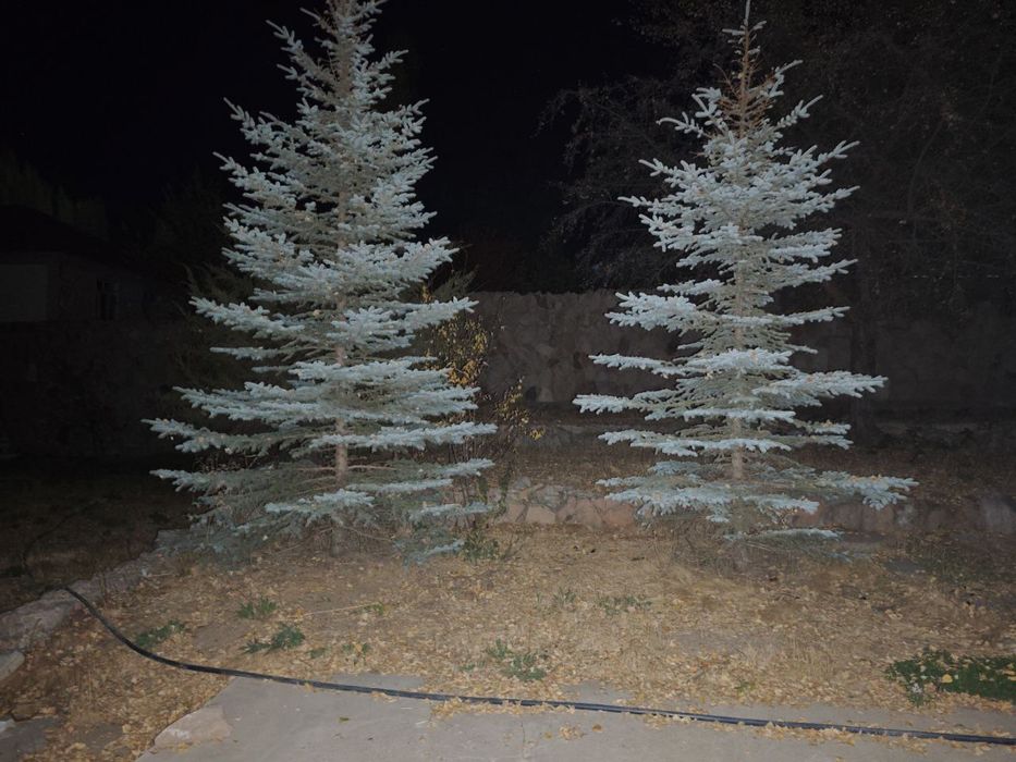 Chimgan dacha 10 sotix 8000$