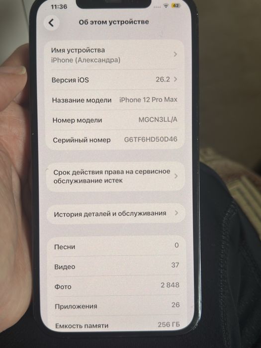 Iphone 12 Pro Max 256 GB