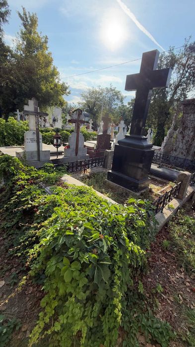 loc de veci cimitirul Sf Vineri Bucuresti