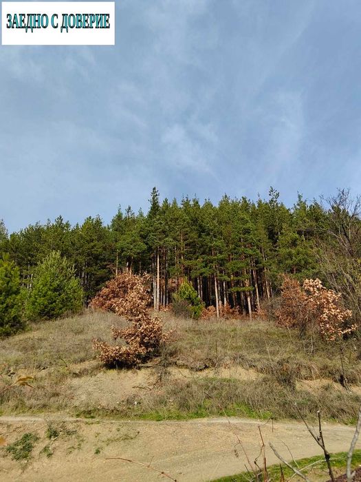 Уникална триетажна къща в гр,СВОГЕ, сред  живописното Искърско Дефиле