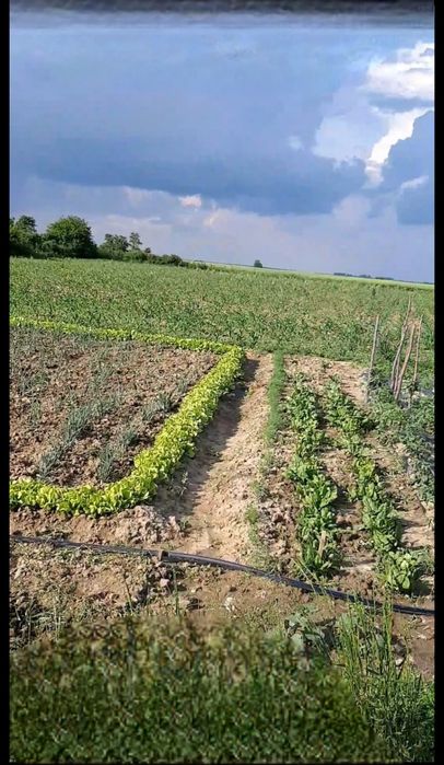 Teren intravilan in sat Obad