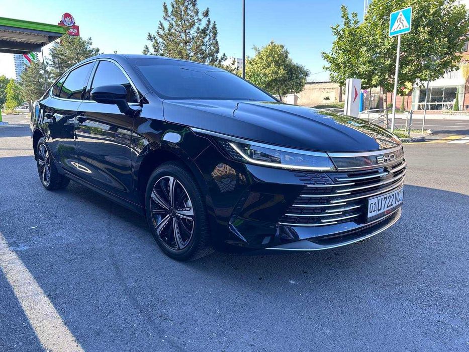 BYD Chazor 120KM Comfort 3-poz IDEAL