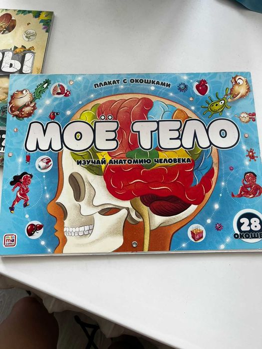 Книжки с окошками