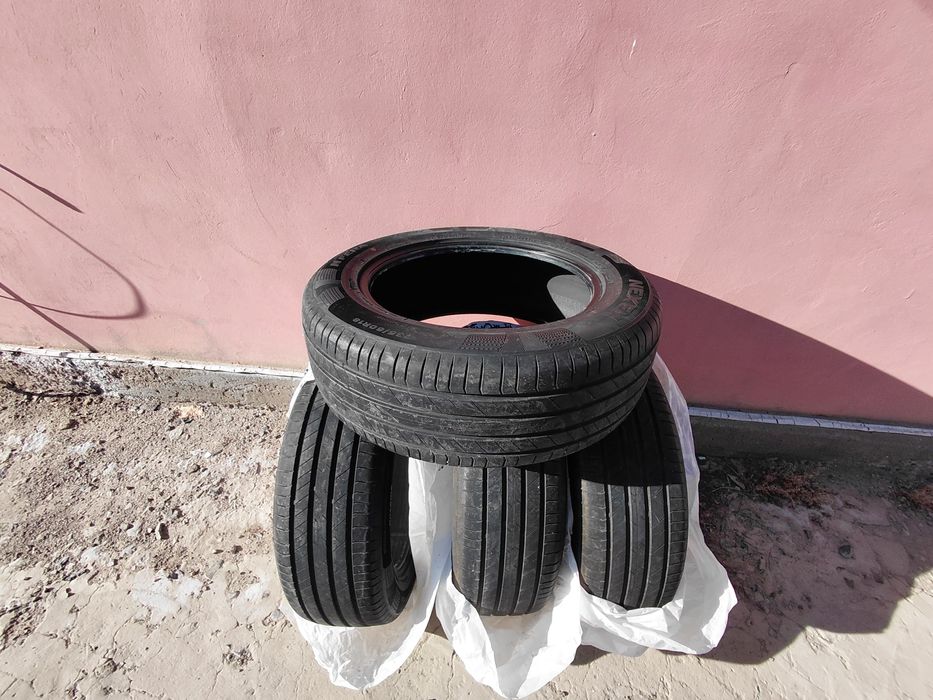 Летние шины nexen