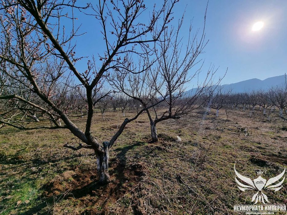 Продавам овощна градина 5421кв.м. в село Долнослав общ.Асеновград