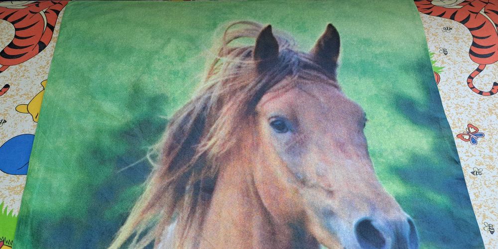 НОВА Калъфка за възглавница (100% памук ранфорс)-70/80 см