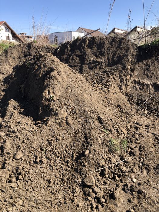 Vand pamant negru de gradina mranita ( vegetal)