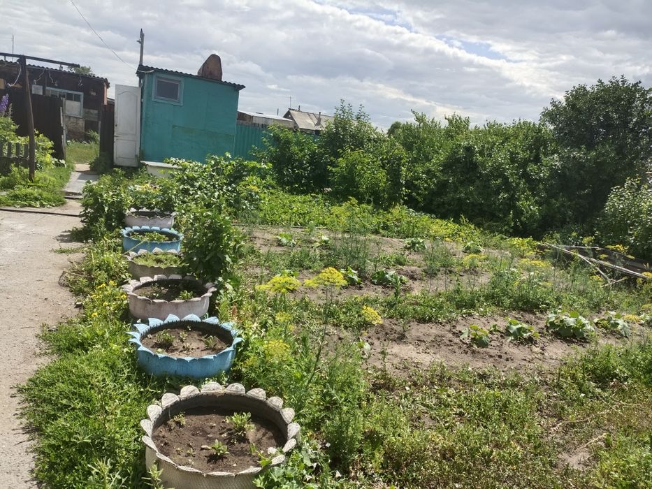 Продам или обмен дом в селе Балыкты